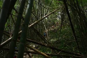 BIB: 
                            <button type="button" onclick="openModal(22241986)" class="btn btn-primary btn-sm float-right btn-popup" data-toggle="modal" data-target=".modal-high-quality">
                        <i class="fas fa-shopping-cart"></i> Add to Cart
                    </button>
                                            <button type="button" onclick="isThisMe(22241986, true)" class="btn btn-success btn-sm float-right btn-popup btn-isme hidden" data-toggle="tooltip" data-placement="bottom" title="นี่คือรูปของคุณใช่ไหม คลิกที่นี่เพื่อเอาเข้าอัลบั้ม">
                        <i class="fas fa-plus"></i> Add to album
                    </button>
                    <button type="button" onclick="isThisMe(22241986, false)" class="btn btn-warning btn-sm float-right btn-popup btn-isnotme hidden">
                        <i class="fas fa-ban"></i> Remove from album
                    </button>